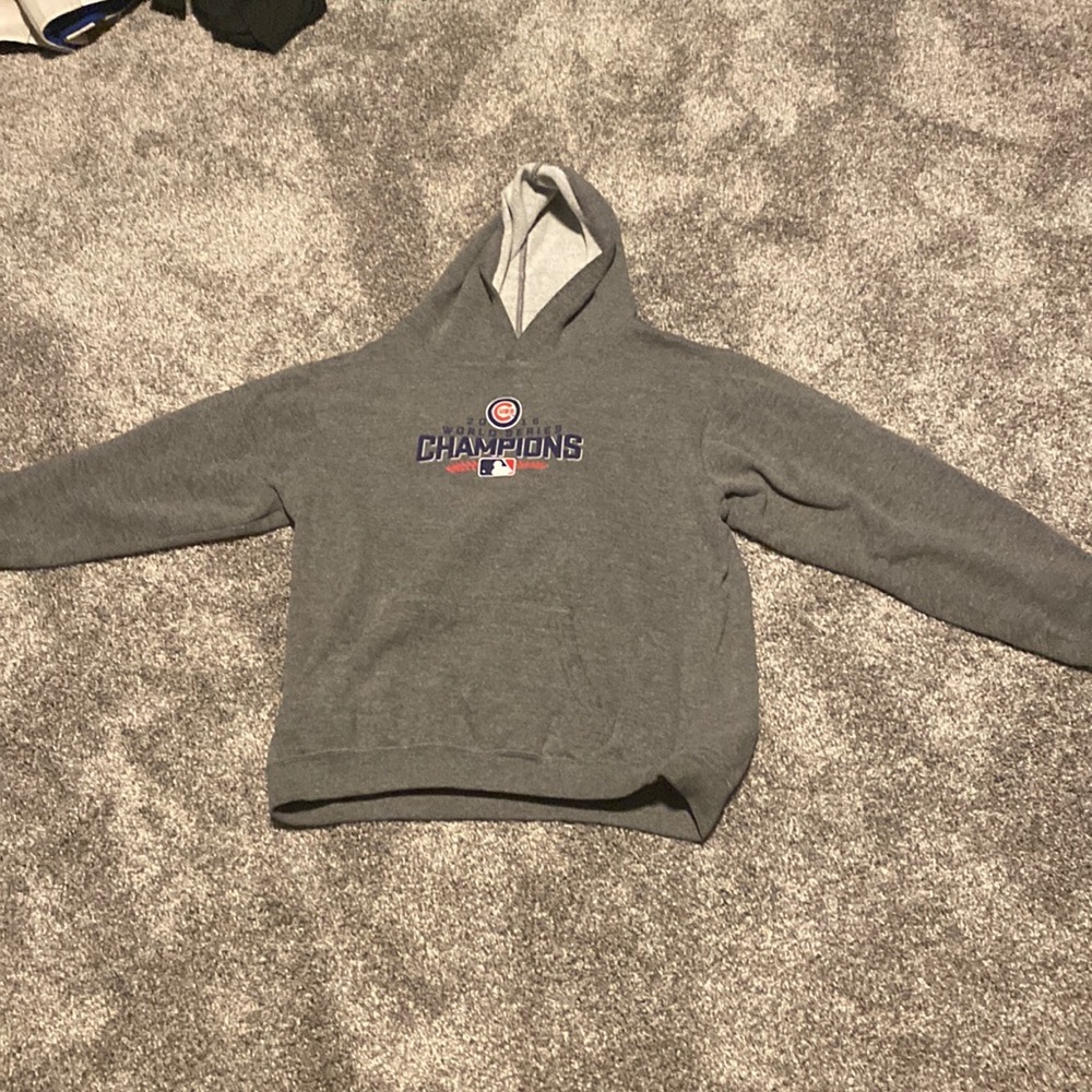 Cubs world series hoodie
